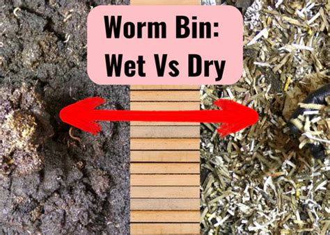 custom moisture meter worm for worm bin|worm bin bedding humidity.